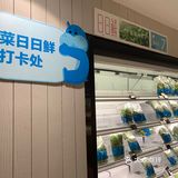 4/15开业一家盒马鲜生 林奥店 开业活动是打卡赠送