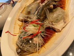 清蒸桂鱼-海宝酒家(中山四路店)