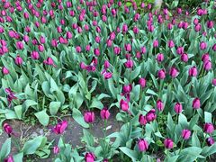 景点-长春公园(普阳街道)