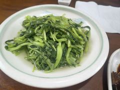 -小小饭店·休闲农庄·安吉松树林里的农家菜