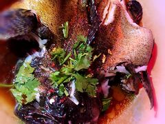 老虎斑-旗鱼海番村(Orang Asli)