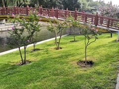 -元大都城垣遗址公园