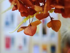 -南山图书馆(常兴路店)