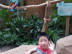 -杭州开元森泊度假乐园