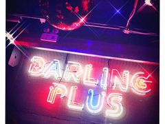-Darling Queen·Mini·Live·House