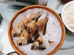 -辛香味烧鱼馆·非遗技艺·排骨红烧肉(光谷医药园店)