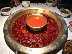 -哥老官重庆美蛙鱼头(宝山龙湖店)