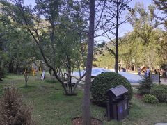 -幽岚山·童话森林
