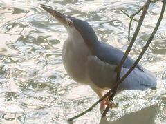 -苏州河梦清园环保主题公园