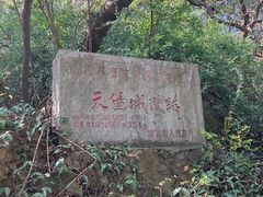 -紫金山山顶公园