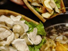 -滇野云南野生菌餐厅(陕西南路店)