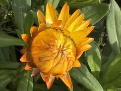 -太阳宫公园