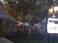 -九十九顶毡房(阜石路店)