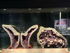 -正佳自然科学博物馆