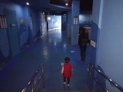-苏州海洋馆
