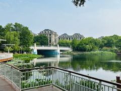 -新江湾城公园