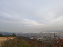 -府君山公园