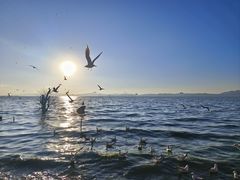 -捞渔河湿地公园