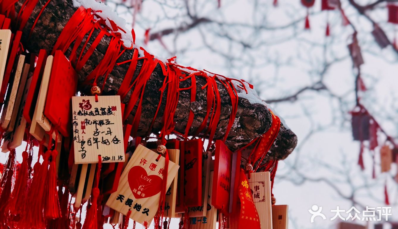 老君山—如果没有遇见你，这个冬天真的毫无颜色画中游 仙之境！