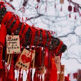 老君山—如果没有遇见你，这个冬天真的毫无颜色画中游 仙之境！
