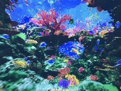 -南戴河国际娱乐中心