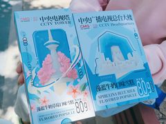 -中央广播电视总台(光华路办公区)