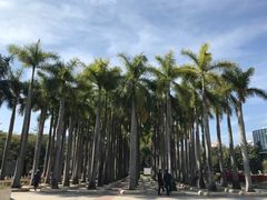 -深圳国际园林花卉博览园