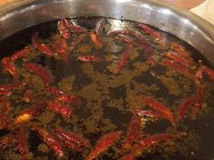 -陈陈火锅(较场口店)