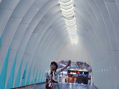 -田村(地铁站)