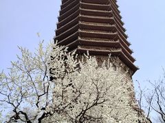 -玲珑塔公园