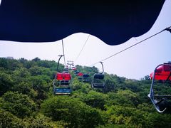 -富斯特索道