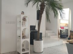 -春树下·树屋花房西餐厅(罍街AS1980店)