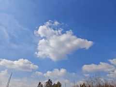 -吉林省自然博物馆