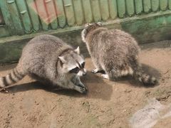 -秦皇岛野生动物园