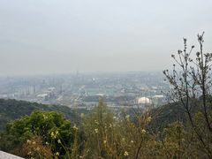 -杭州半山国家森林公园