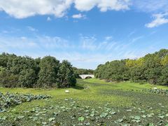 -上海海湾国家森林公园