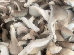 -老雒阳面馆·水席·洛阳菜(偃师店)