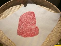 -元熹会席料理