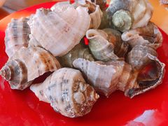 -旺角小渔村·海肠捞饭开创者(环山路店)
