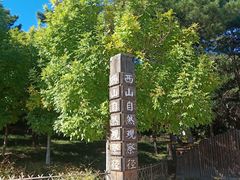 -北京西山国家森林公园