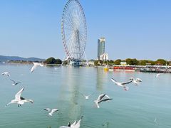 -蠡湖大桥公园