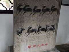 -上海醉白池公园