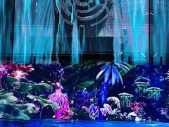 -中国湿地博物馆