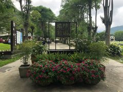 -瑞穗牧场