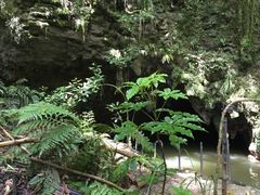 -怀托摩萤火虫洞