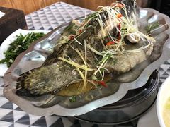 清蒸石斑鱼-QQ海鲜餐厅