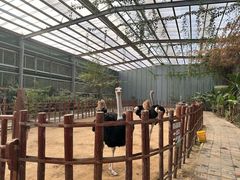 -呀路古热带植物园