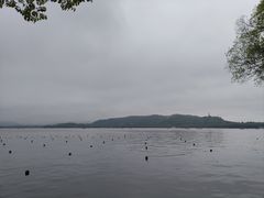-湖畔居茶楼(湖滨店)