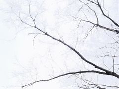 -万泉公园