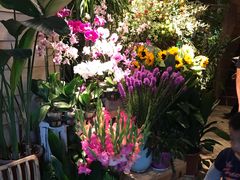 -春暖花开(西溪店)